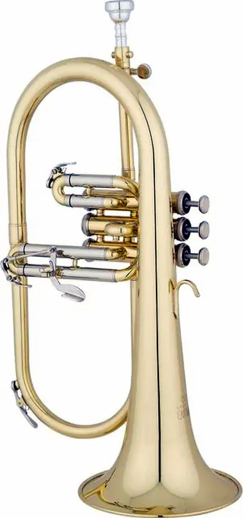 פלוגל הורן EASTMAN EFG421
