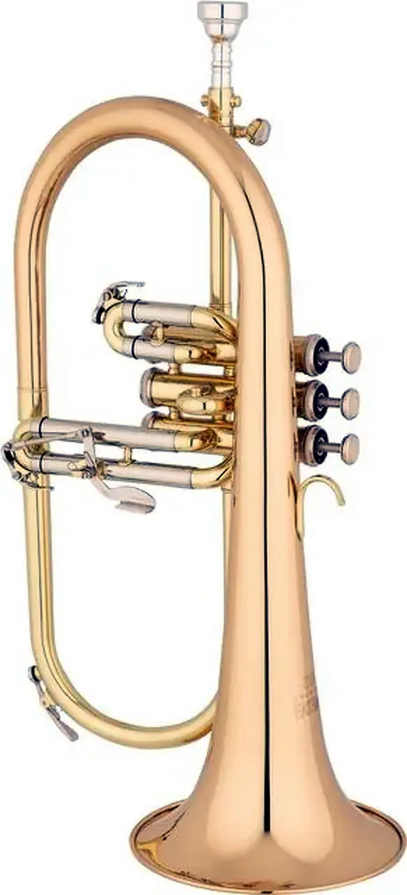 פלוגל הורן EASTMAN EFG521G