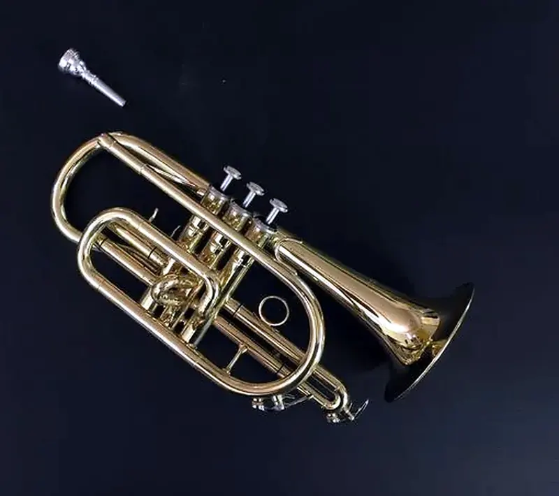 קורנט COHEN 6426L
