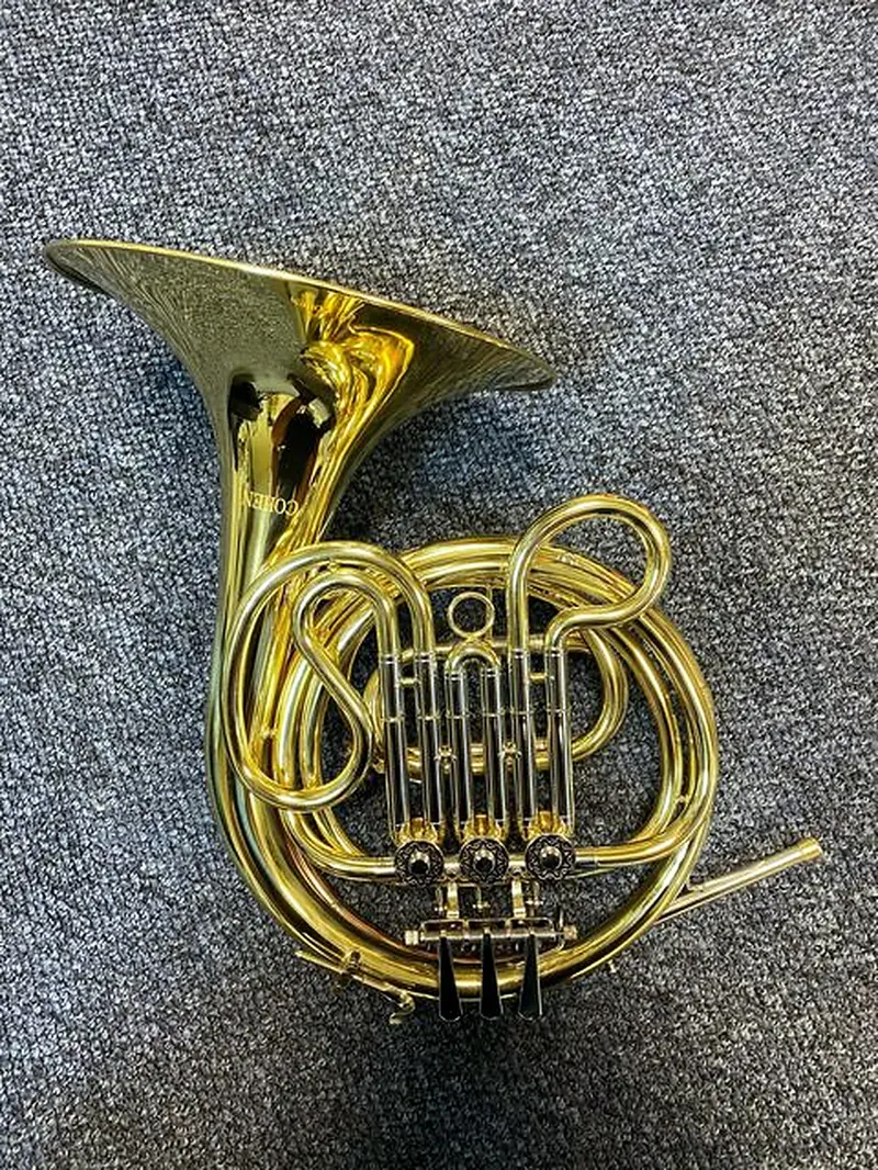 קרן יער Cohen