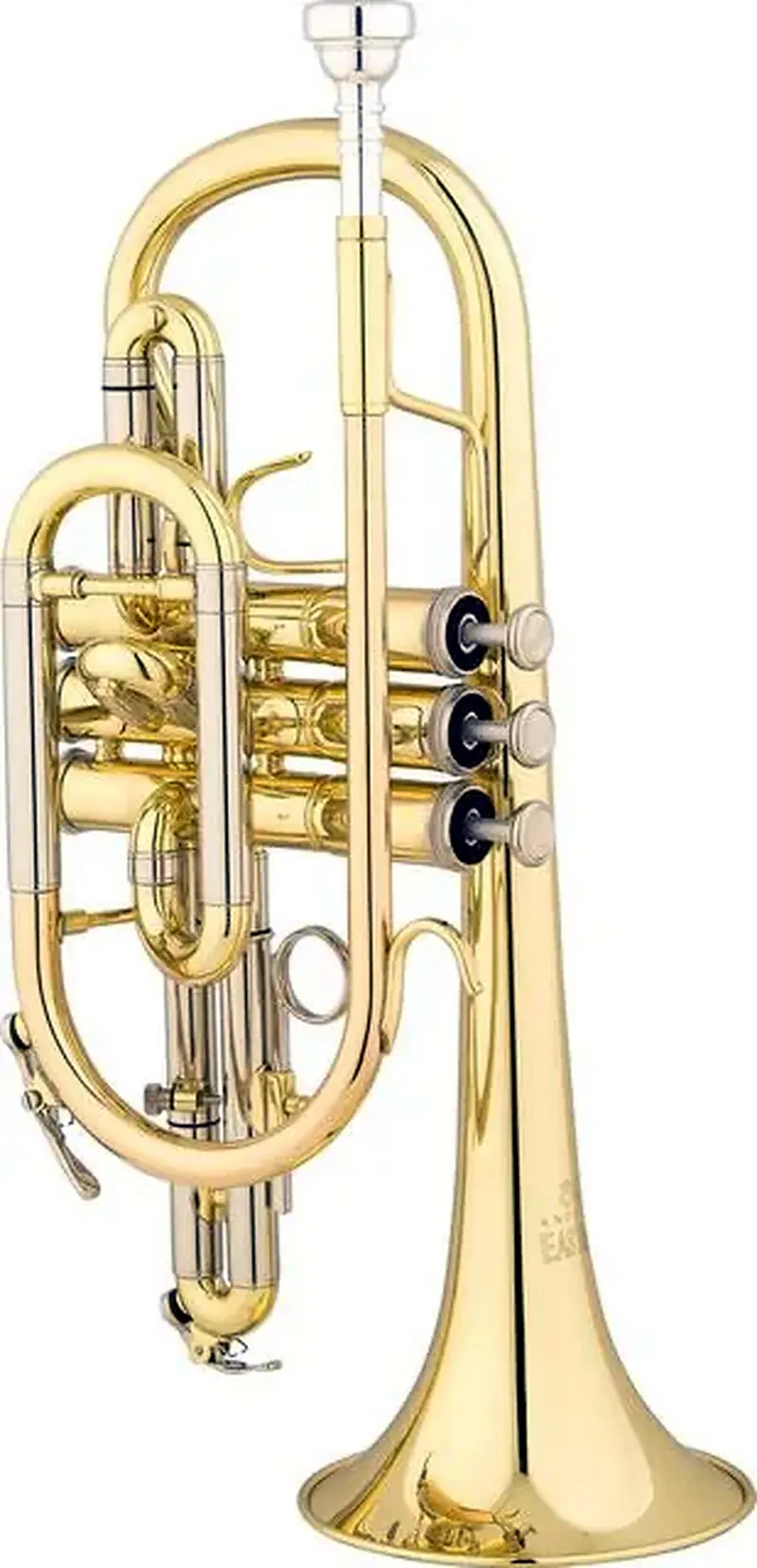 קורנט EASTMAN ECN225