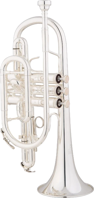 קורנט EASTMAN ECN225S