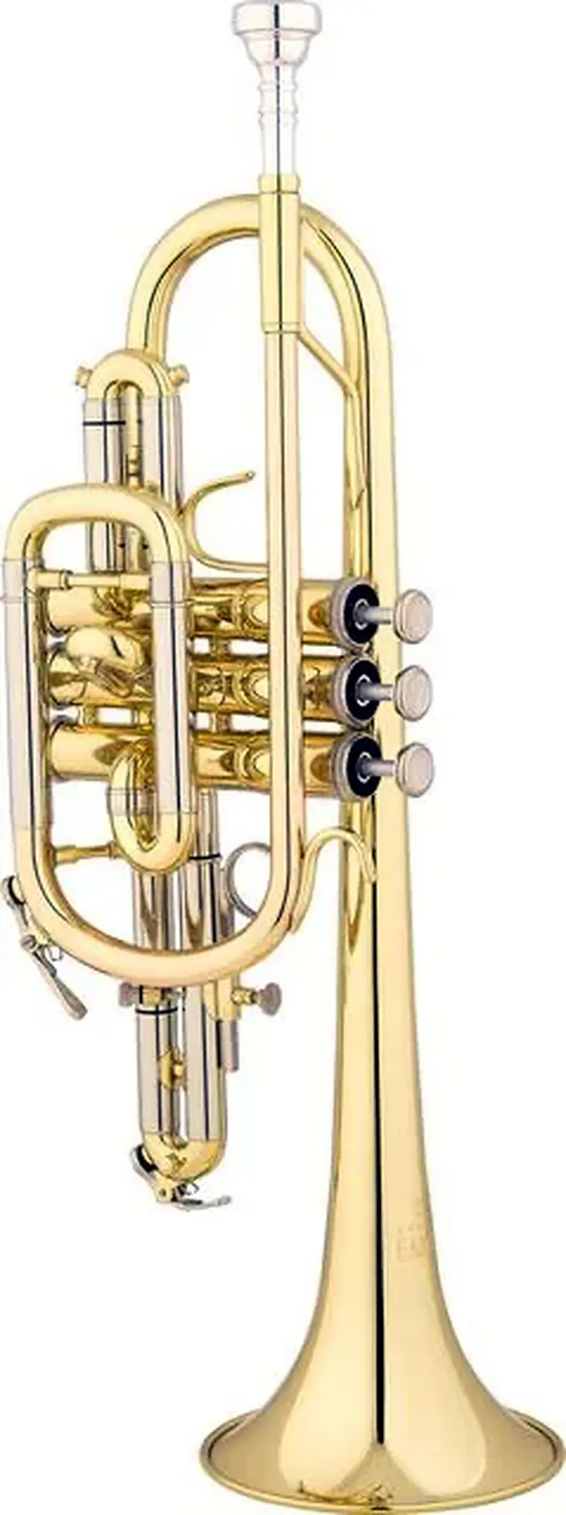 קורנט EASTMAN ECN223