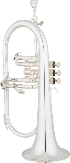פלוגל הורן EASTMAN EFG421S