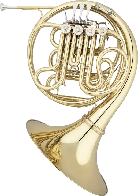 קרן יער EASTMAN EFH884/EFH884D