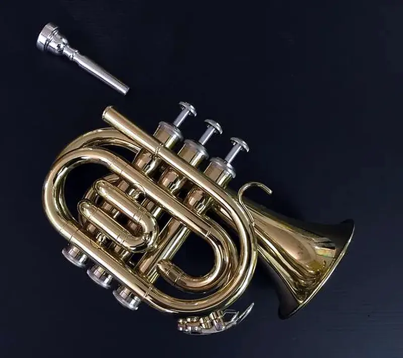 חצוצרת כיס COHEN JYHTA400