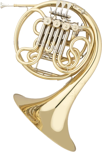 קרן יער EASTMAN EFH885/EFH885D