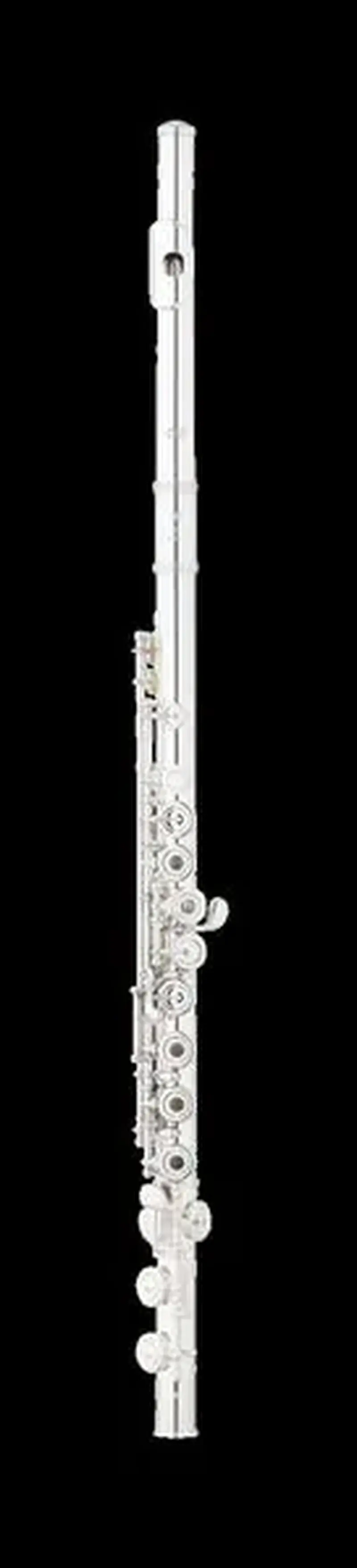 חליל EFL215SE-CO Eastman
