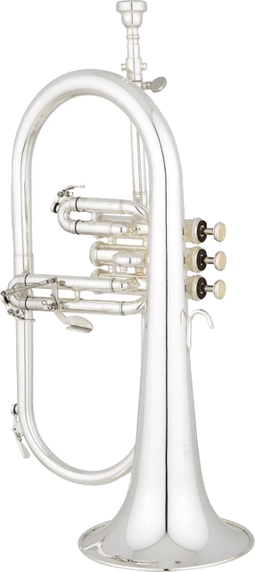 פלוגל הורן EASTMAN EFG521GS