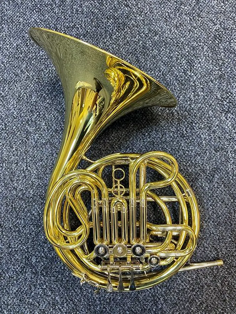 קרן יער כפולה EASTMAN EFH462